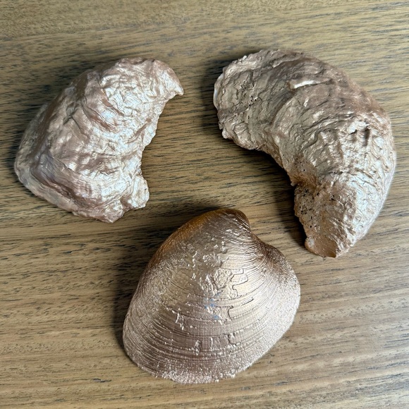 Blue and White French Toile Oyster Shell Ring Dish - Large - Picture 4 of 4